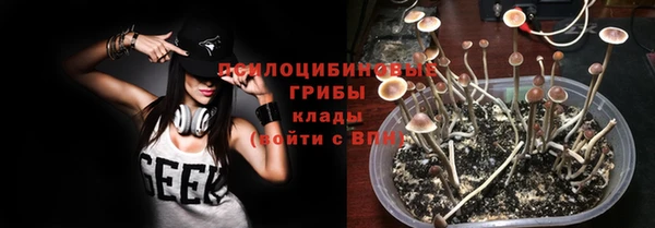 стаф Белокуриха