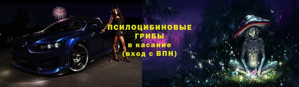 стаф Белокуриха